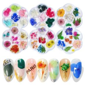 Natural Floral Sunflower Daisy Nail Art Dried Flower TDF03