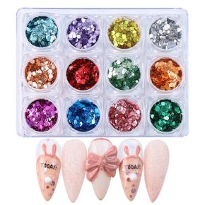 12 Boxes Holographic Round Nail Sequins TGF57